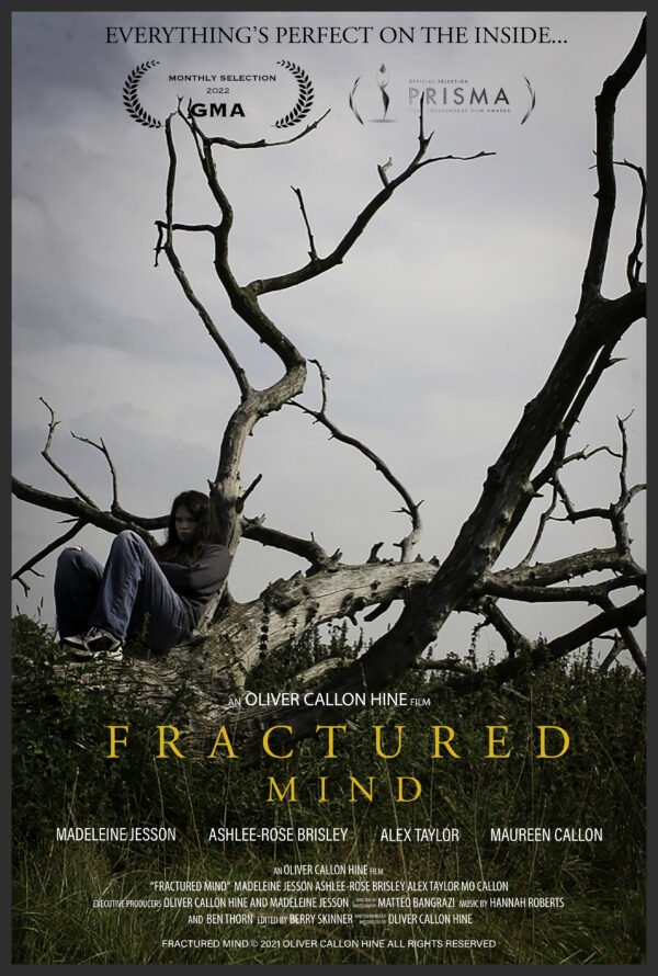 MV5BOGQ2ZjZkN2YtYjg1Zi00NDg5LWI4MTEtNTVjOWJlNzdlZmZhXkEyXkFqcGc@._V1_